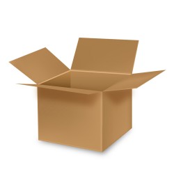 Caja de carton multiusos ideal mudanzas  49,5x30,5x31cm